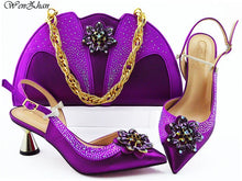 Load image into Gallery viewer, Fashion Women nice color Shoes And Bag Set To Match 7cm High Quality Italian Shoes With Matching Bags For Party! WENZHAN B93-2